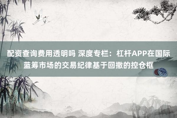 配资查询费用透明吗 深度专栏：杠杆APP在国际蓝筹市场的交易纪律基于回撤的控仓框