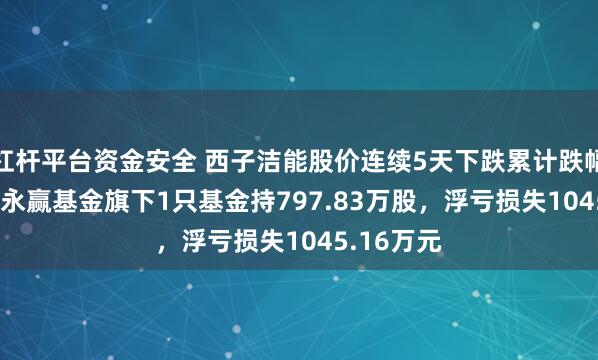 杠杆平台资金安全 西子洁能股价连续5天下跌累计跌幅7.72%，永赢基金旗下1只基金持797.83万股，浮亏损失1045.16万元